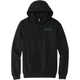 Dynasty Advisors Softstyle Midweight Pullover Hooded Sweatshirt