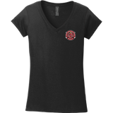 Apple Core Softstyle Ladies Fit V-Neck T-Shirt