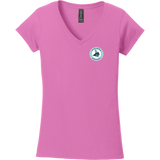 Lab Vikings Softstyle Ladies Fit V-Neck T-Shirt