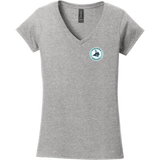 Lab Vikings Softstyle Ladies Fit V-Neck T-Shirt