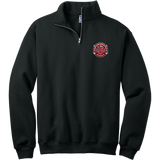 Apple Core NuBlend 1/4-Zip Cadet Collar Sweatshirt