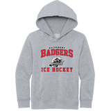 Allegheny Badgers Youth V.I.T. Fleece Hoodie