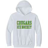 Chester County Youth Softstyle Midweight Fleece Hoodie