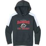 Allegheny Badgers Youth Sport-Wick Fleece United Pullover Hoodie